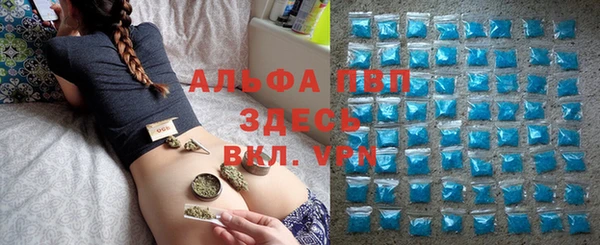 крисы Алзамай