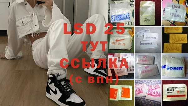 крисы Алзамай