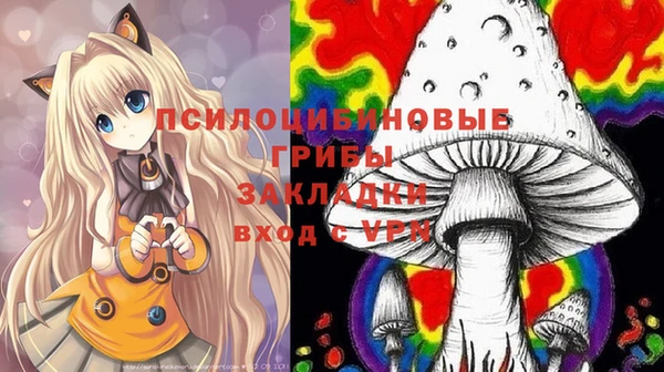 крисы Алзамай